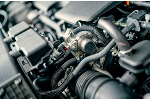 cooling system hoses